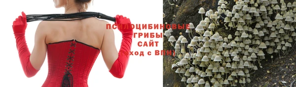 соль ск Алексин