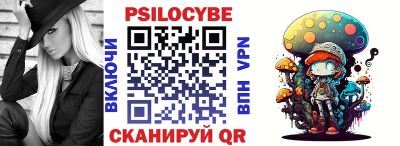 где можно купить   Троицк  Псилоцибиновые грибы Psilocybe 