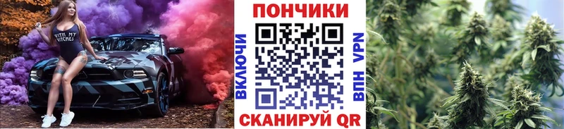 сколько стоит  Троицк  Шишки марихуана SATIVA & INDICA 